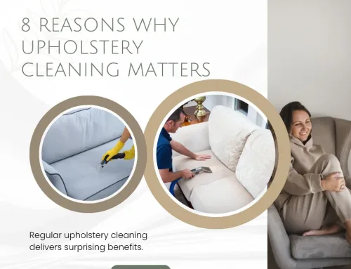 Upholstery Cleaning: 8 Powerful Reasons to Refresh Your Furniture