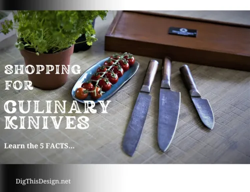 Culinary Knives: 5 Must-Know Tips for Choosing the Best
