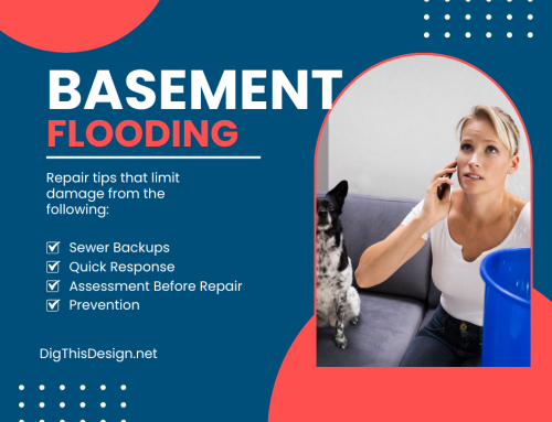 Basement flooding in Canadian homes: repair decisions that limit damage
