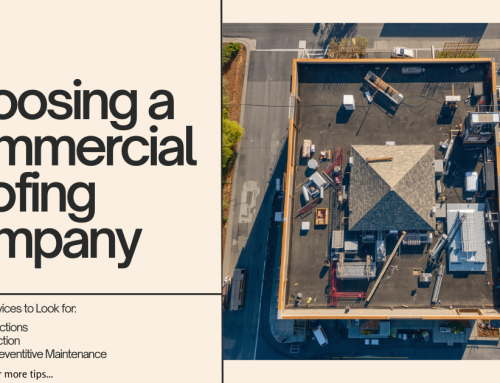 How to Choose the Right Commercial Roofing Contractors for Your Building